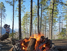 photo thumbnail #5