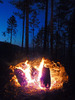 photo thumbnail #12