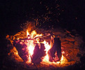 photo thumbnail #13