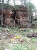 photo thumbnail #3
