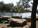 photo thumbnail #5