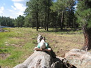 photo thumbnail #6