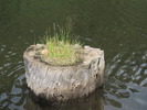 photo thumbnail #12