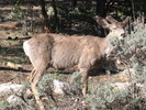 photo thumbnail #3
