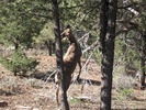photo thumbnail #5