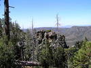 photo thumbnail #6