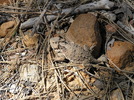 photo thumbnail #12