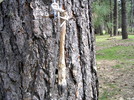 photo thumbnail #13