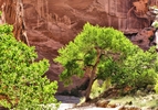 photo thumbnail #6