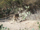 photo thumbnail #3