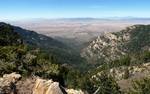 photo thumbnail #1