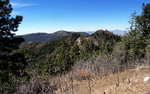 photo thumbnail #3