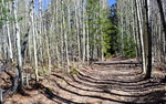 photo thumbnail #7