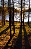 photo thumbnail #10