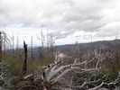 photo thumbnail #7