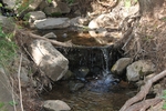 photo thumbnail #9