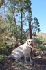 photo thumbnail #10