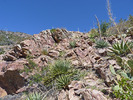 photo thumbnail #5