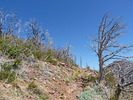 photo thumbnail #12