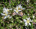 photo thumbnail #15