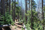 photo thumbnail #7