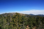 photo thumbnail #9