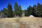 photo thumbnail #10