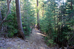 photo thumbnail #11