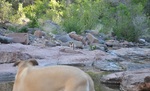 photo thumbnail #7