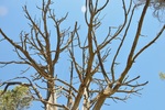 photo thumbnail #11