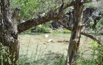 photo thumbnail #15