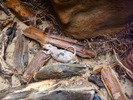 photo thumbnail #10