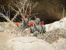 photo thumbnail #8