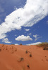 photo thumbnail #15