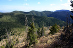 photo thumbnail #7