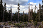 photo thumbnail #8