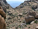 photo thumbnail #5