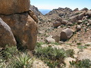 photo thumbnail #6