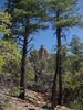 photo thumbnail #6