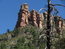 photo thumbnail #7