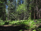 photo thumbnail #12