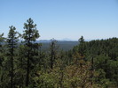 photo thumbnail #14