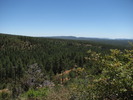photo thumbnail #15