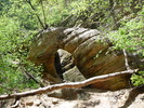 photo thumbnail #6