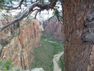 photo thumbnail #7