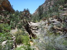 photo thumbnail #7