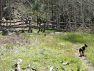 photo thumbnail #5