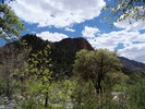 photo thumbnail #14