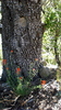 photo thumbnail #13