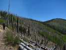 photo thumbnail #2